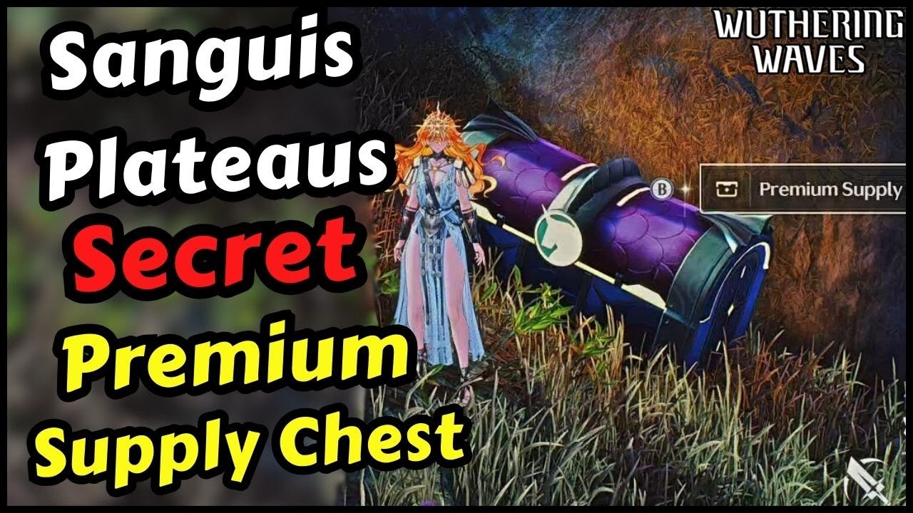 Secret Hidden Premium Supply Chest in Sanguis Plateaus Wuthering Waves 2.6