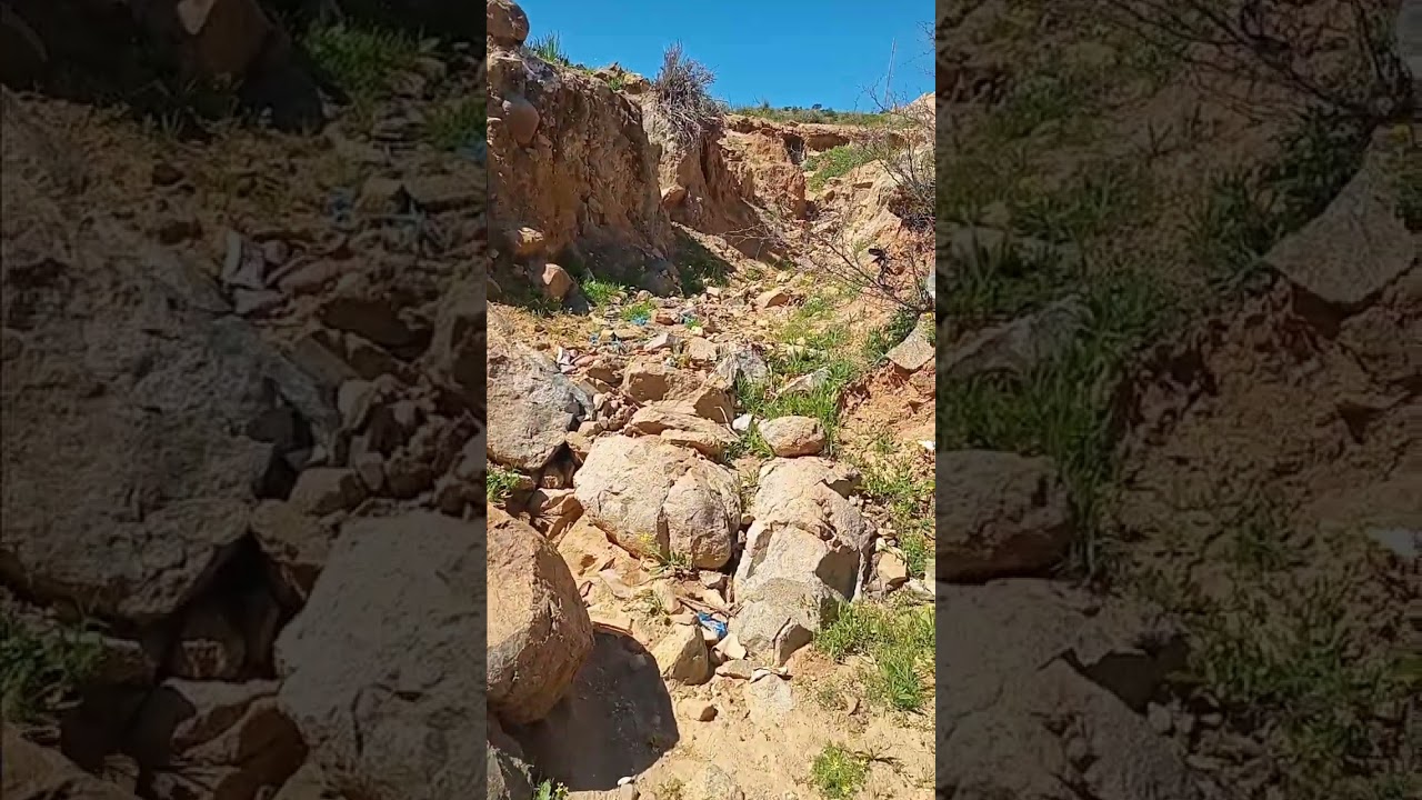 جولة في حقول العركوب وأكرض 2