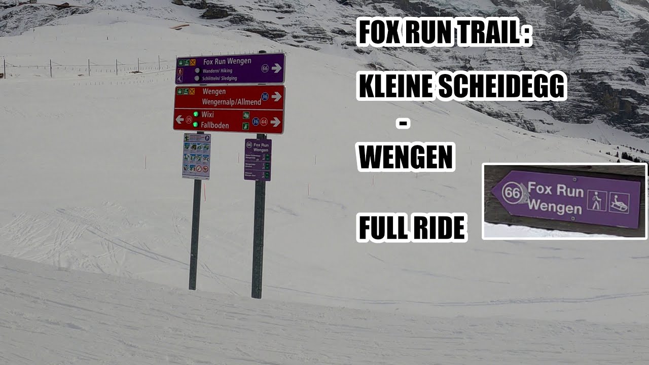 KLEINE SCHEIDEGG - WENGEN | FOX RUN TRAIL | FULL RIDE ON SLEDGE in 12 min.| 4K /60 fps