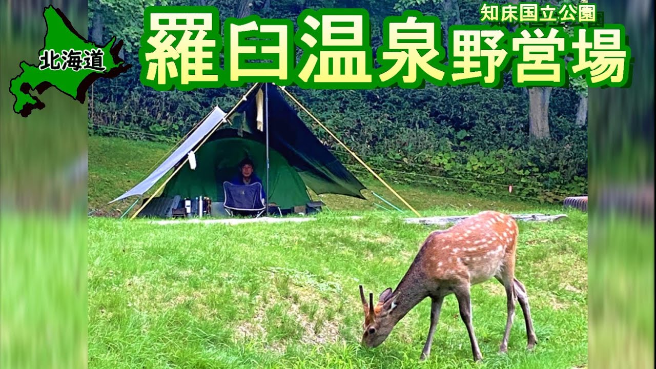 【北海道】知床のポテンシャルの高さをどうぞご覧ください【知床国立公園 羅臼温泉野営場】【#64 カブトレーラー旅2022】