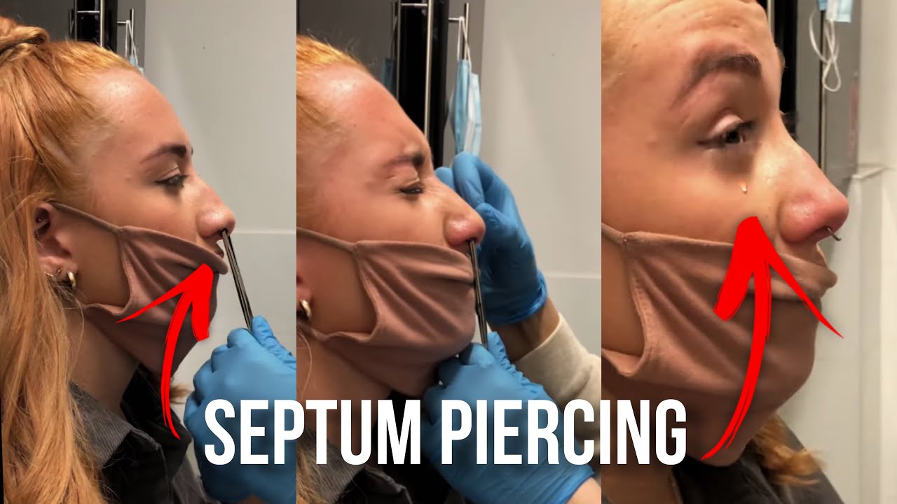 Septum Piercing by @Underground Tattoos Body Piercing