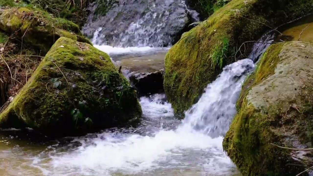 432Hz Healing Music for the Mind | Stress Relief – Deep Sleep & Inner Peace
