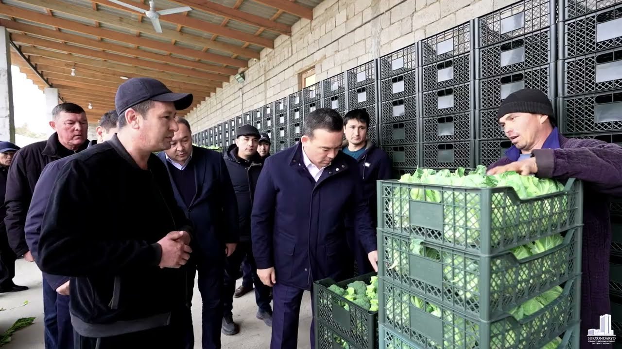 Surxondaryo viloyati hokimining bir kunlik ish faoliyati (05.02.2026-yil)