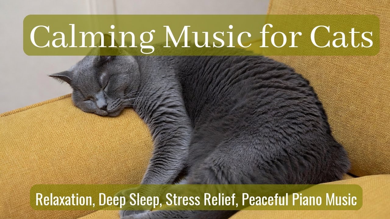 Calming Music for Cats - Relaxation, Deep Sleep, Stress Relief, Peaceful Piano Music | Season 76