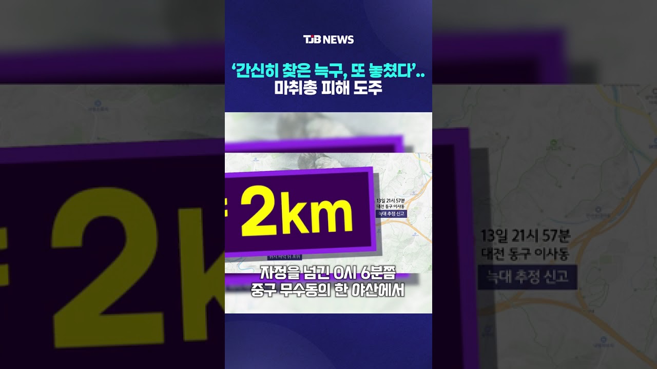 '간신히 찾은 늑구, 또 놓쳤다'..마취총 피해 도주｜ TJB 대전&middot;세종&middot;충남뉴스