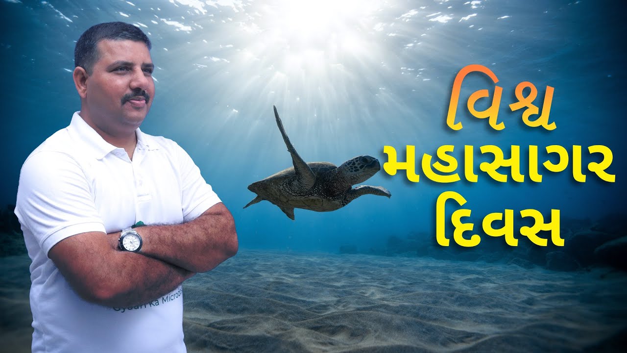 મહાસાગરોની સુંદરતા અને મહત્વની ઉજવણી !