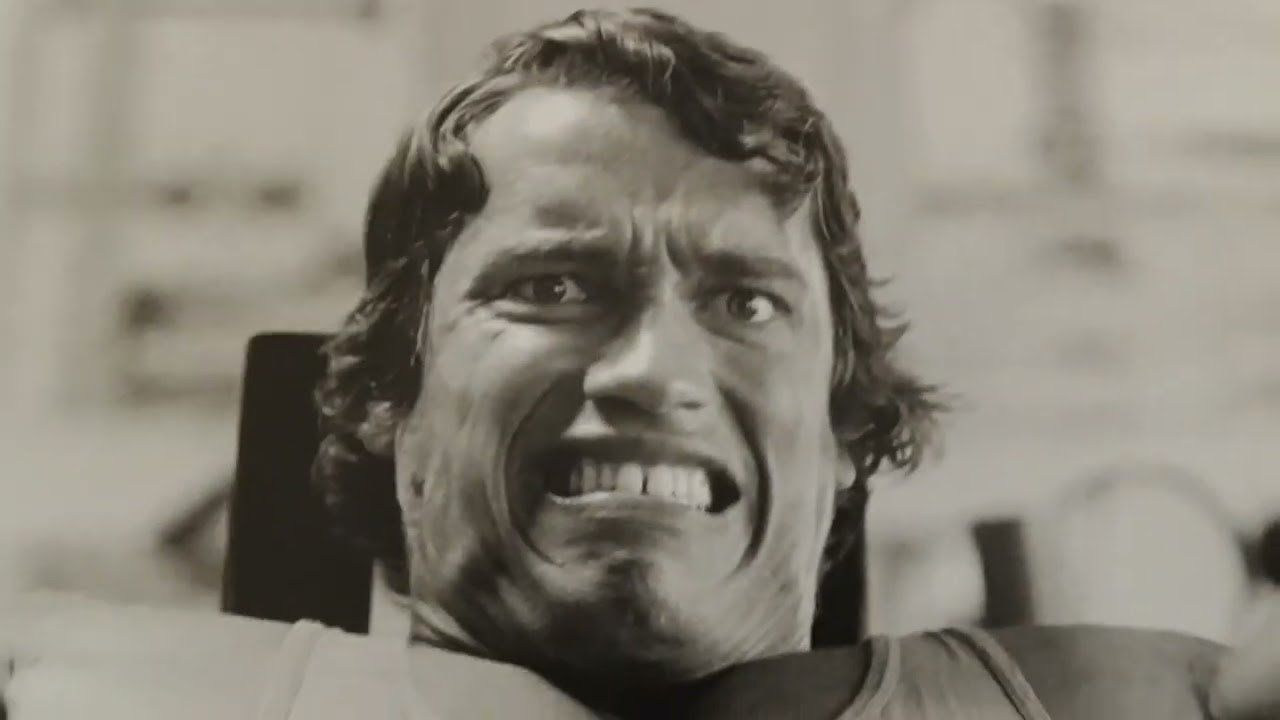 Arnold Schwarzenegger A Portrait 3