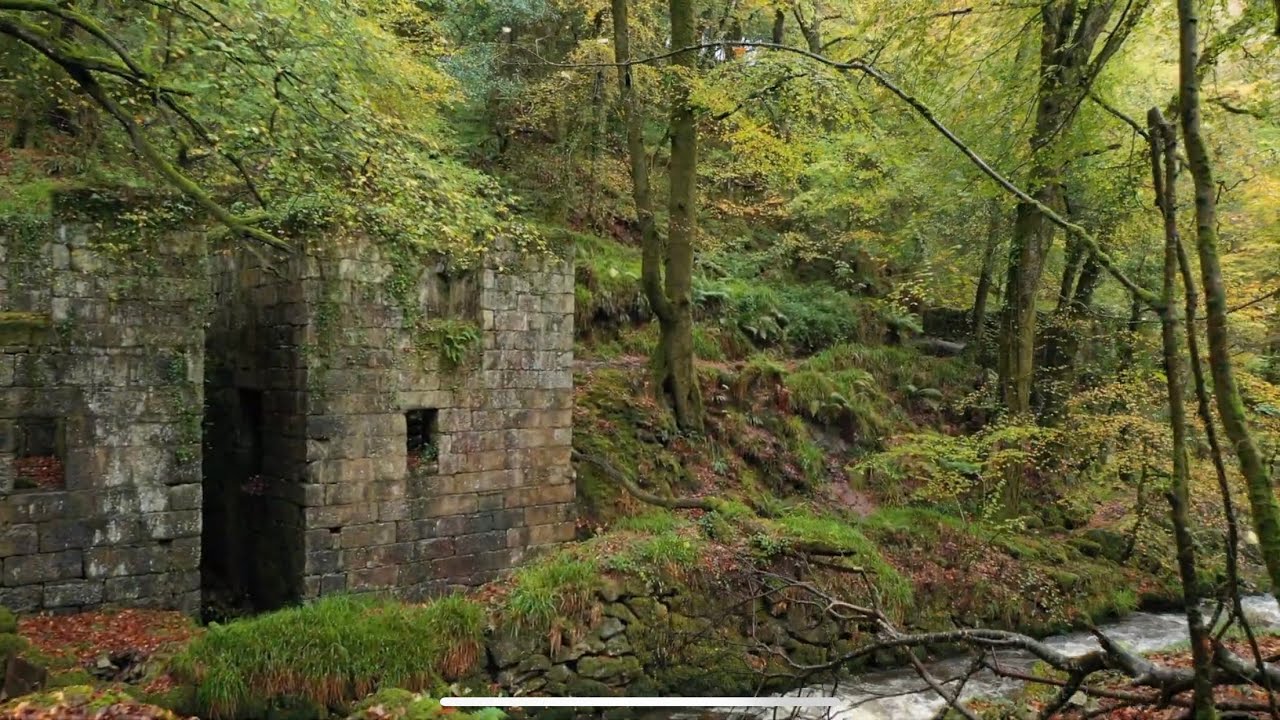 Exploring Abandoned Gunpowder Factory in Autumn 2020 - Kennall Vale Cornwall | The Fish Locker