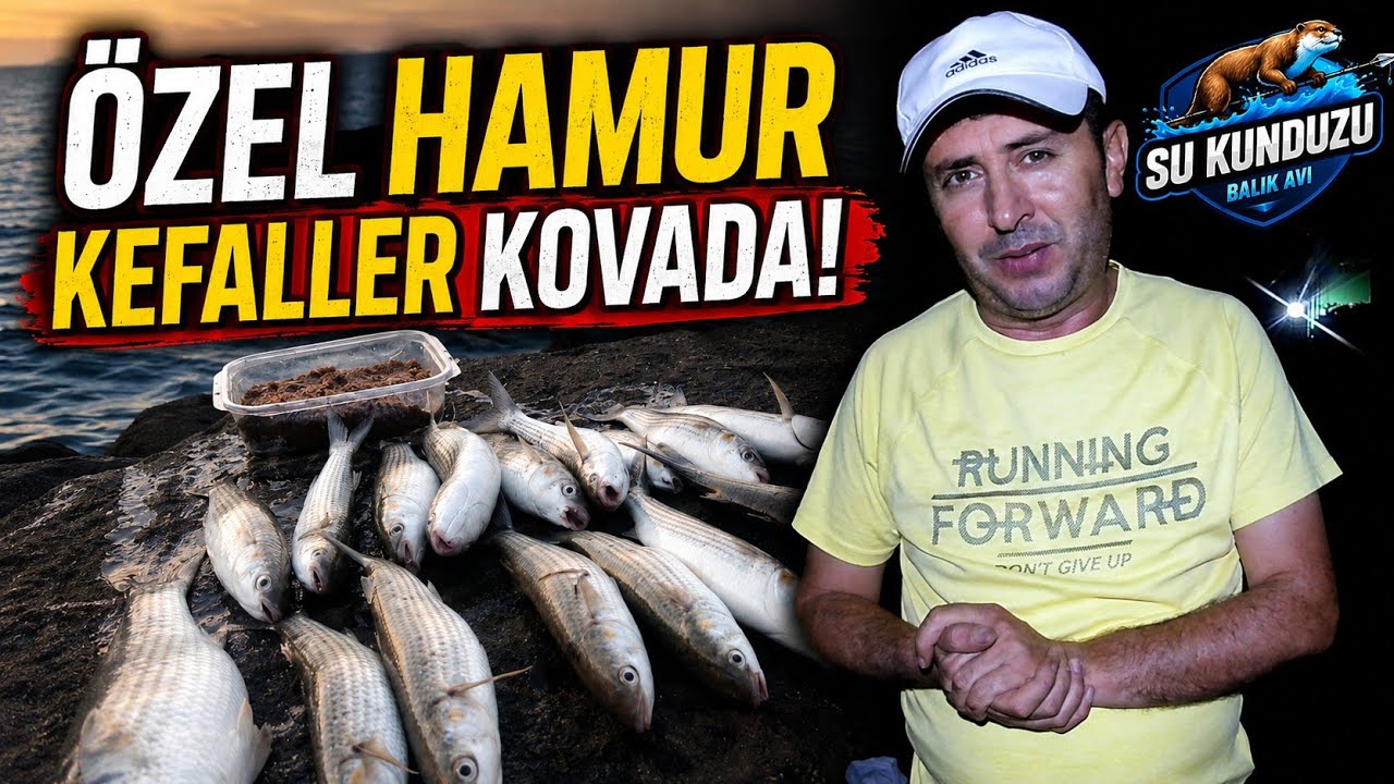 ÖZEL YAPMIŞ OLDUĞUMUZ HAMUR YEM İLE KEFALLER KOVAYA KENDİ ZIPLADI,KARADENİZİN MAVİ DERİNLİKLERİ.🇹🇷🇹🇷
