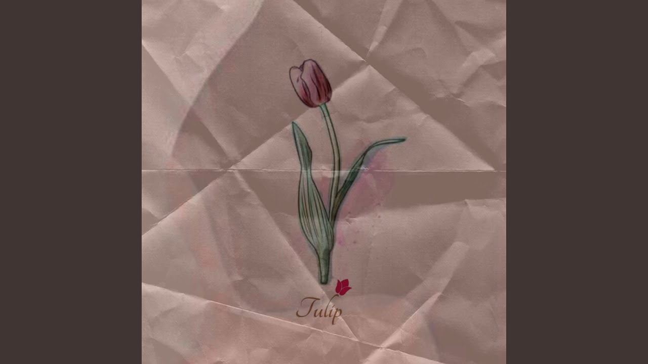 Tulip