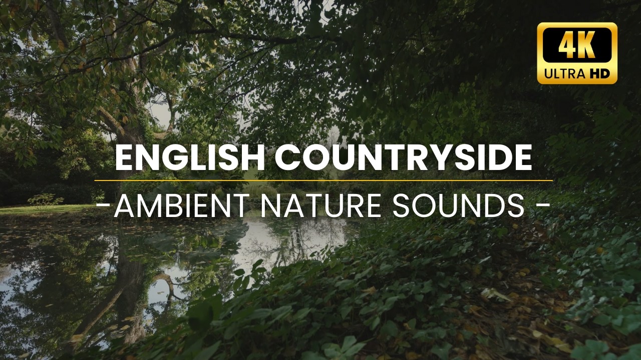 English Garden Birdsong & Water Sounds 🌿 Peaceful Nature Ambience in 4K