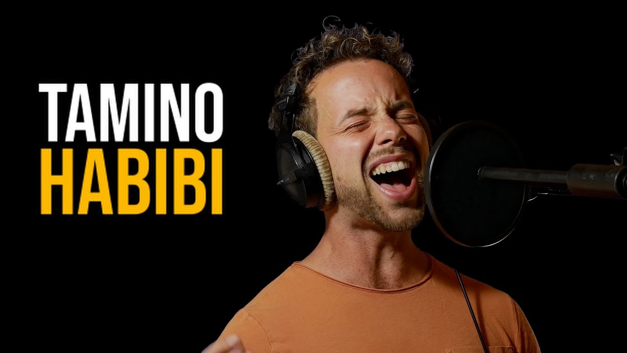 Tamino - Habibi (cover)