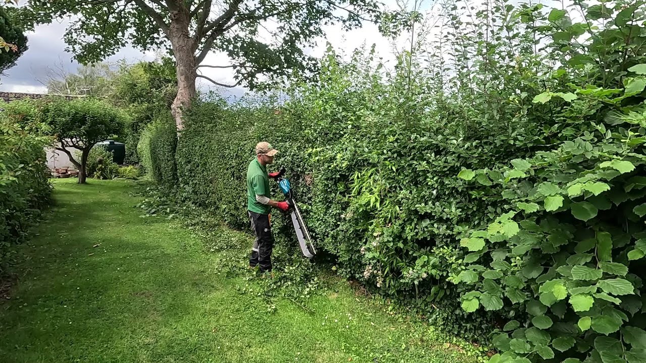 Trimming Loads Of OVERGROWN HEDGES On This Large Property