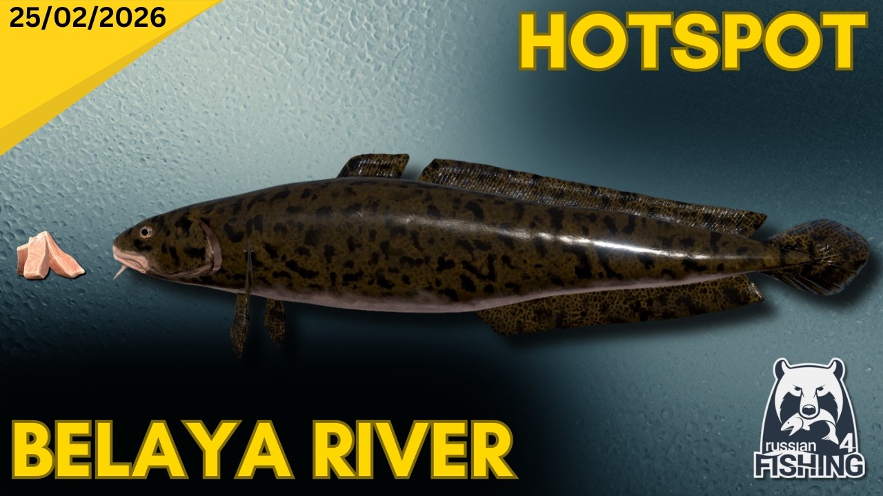 Belaya River Burbot Hotspot - Russian Fishing 4