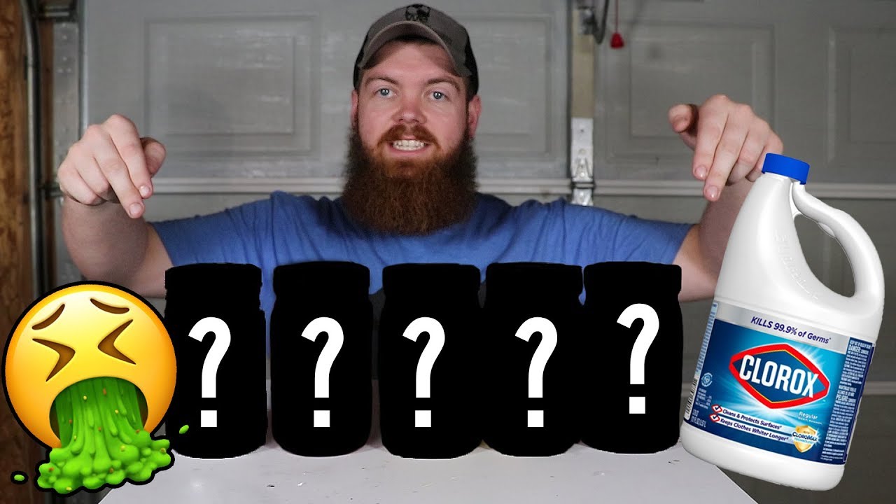 I Left 5 Things In Bleach For 30 Days...