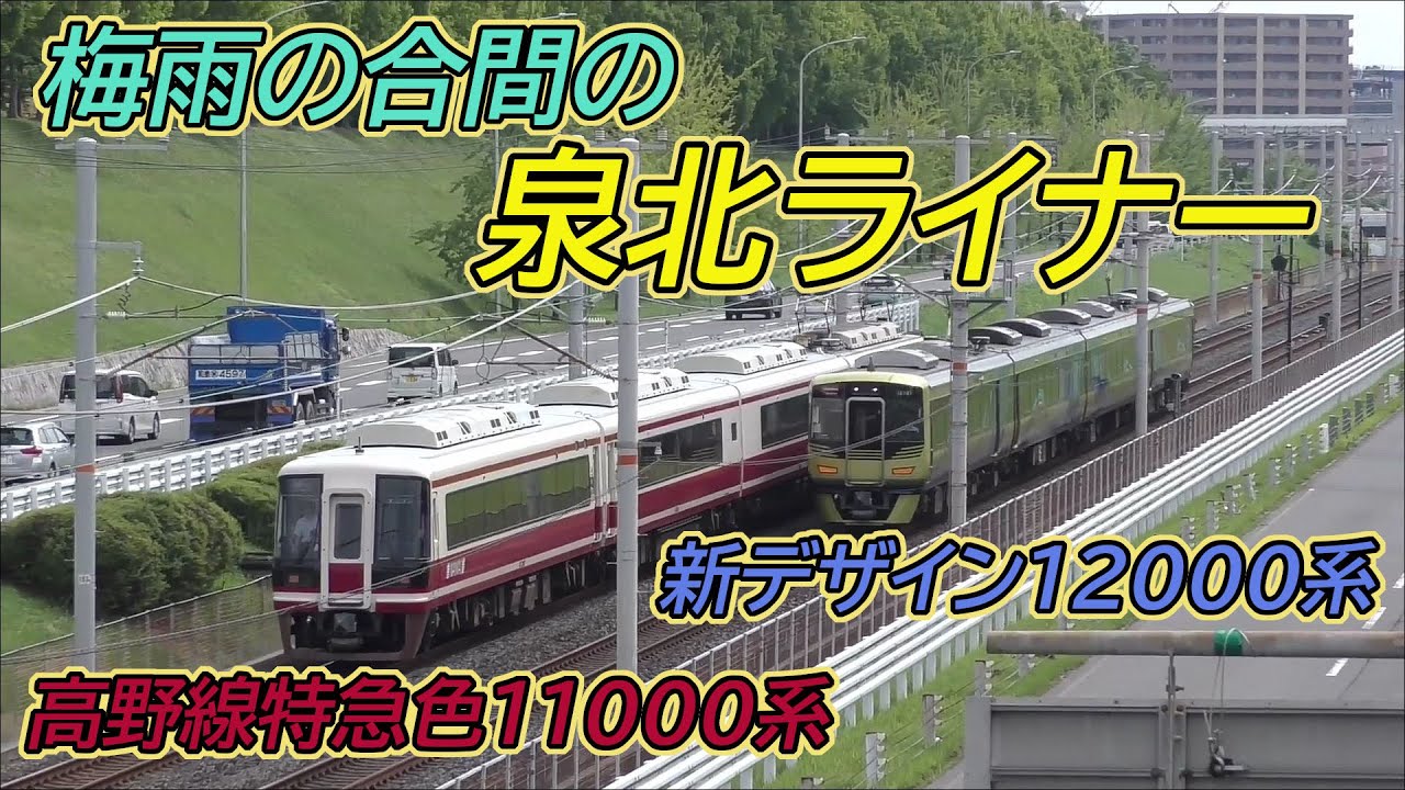 【新デザインと高野線特急色】梅雨の合間の泉北ライナー