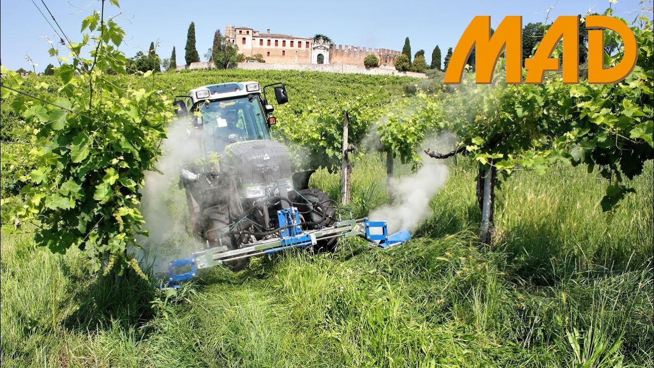 Vite in campo 2017:  tecnologie sostenibili in vigneto