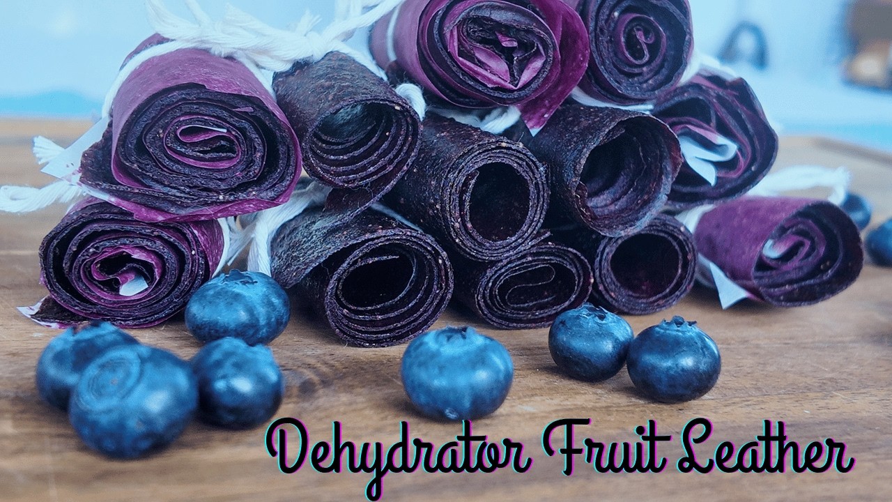 Easy Homemade Blueberry Fruit Roll Ups Kids Will Love