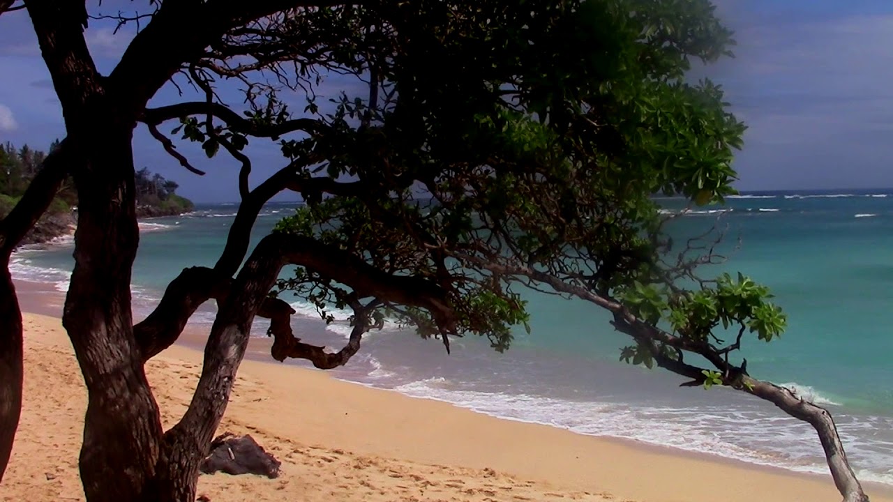 The eastern coastline of Oahu (Hawaii)
