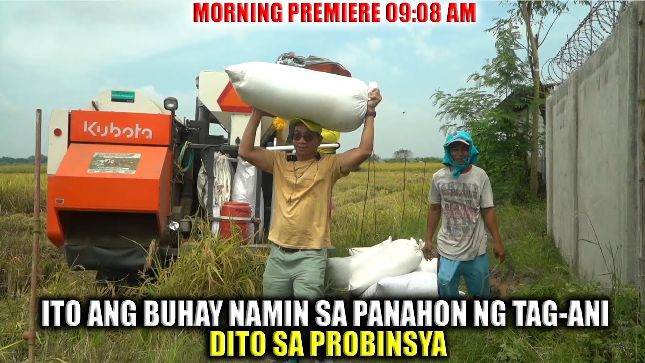 ITO ANG BUHAY NAMIN SA PANAHON NG TAG-ANI