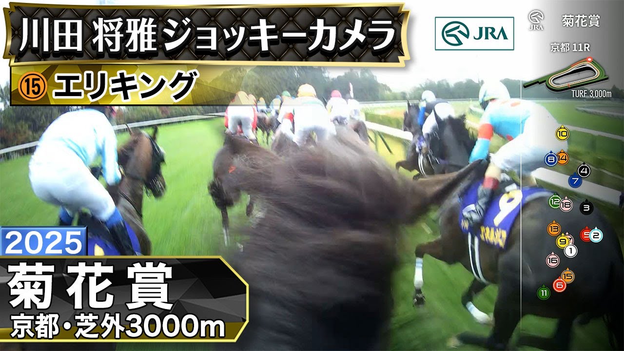 【ジョッキーカメラ】エリキング騎乗の川田将雅騎手ジョッキーカメラ映像｜2025年菊花賞｜JRA公式