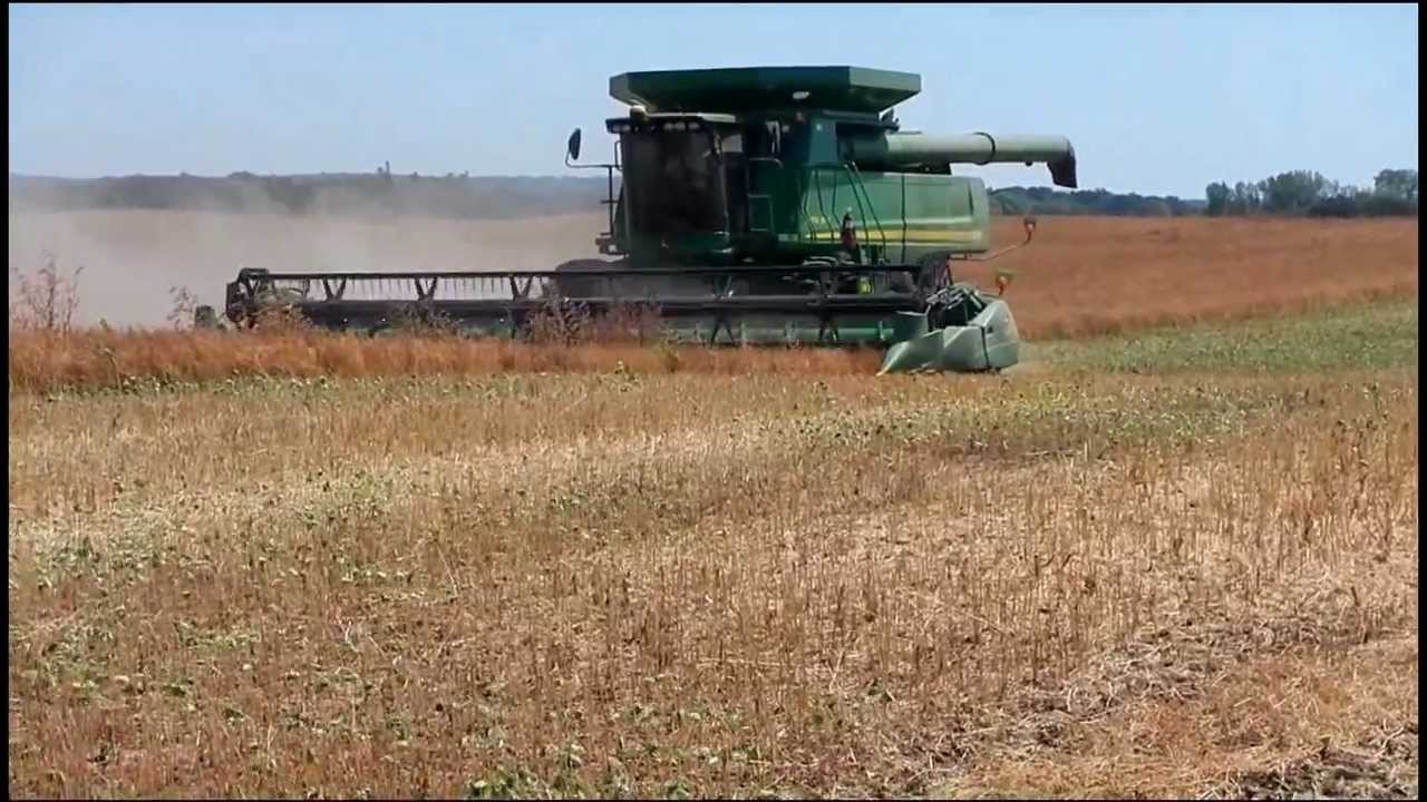 Camelina Harvest on Wayne Johnson's North Central Iowa Demo plot 7-16-12.