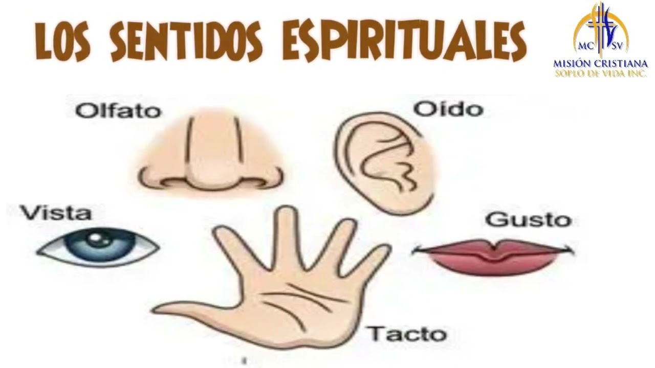 Los sentidos espirituales
