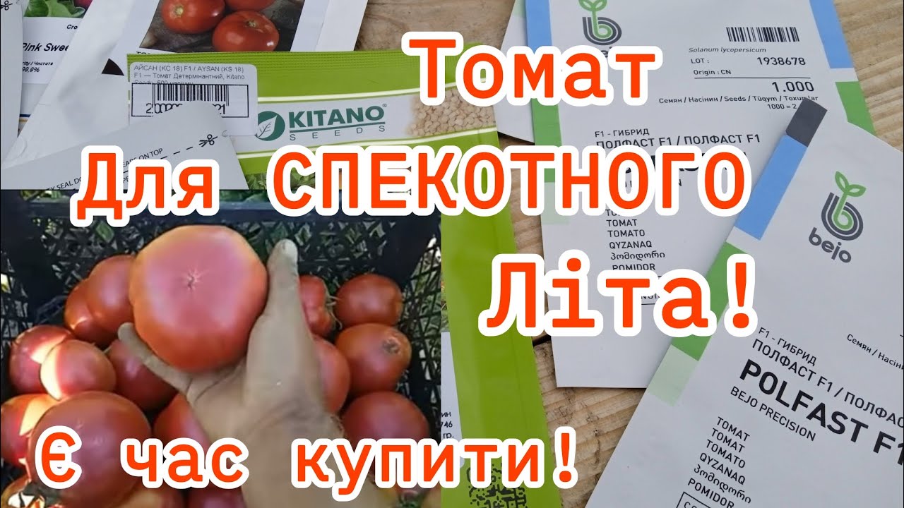 Томат,який витримав спеку! Огляд гібридів