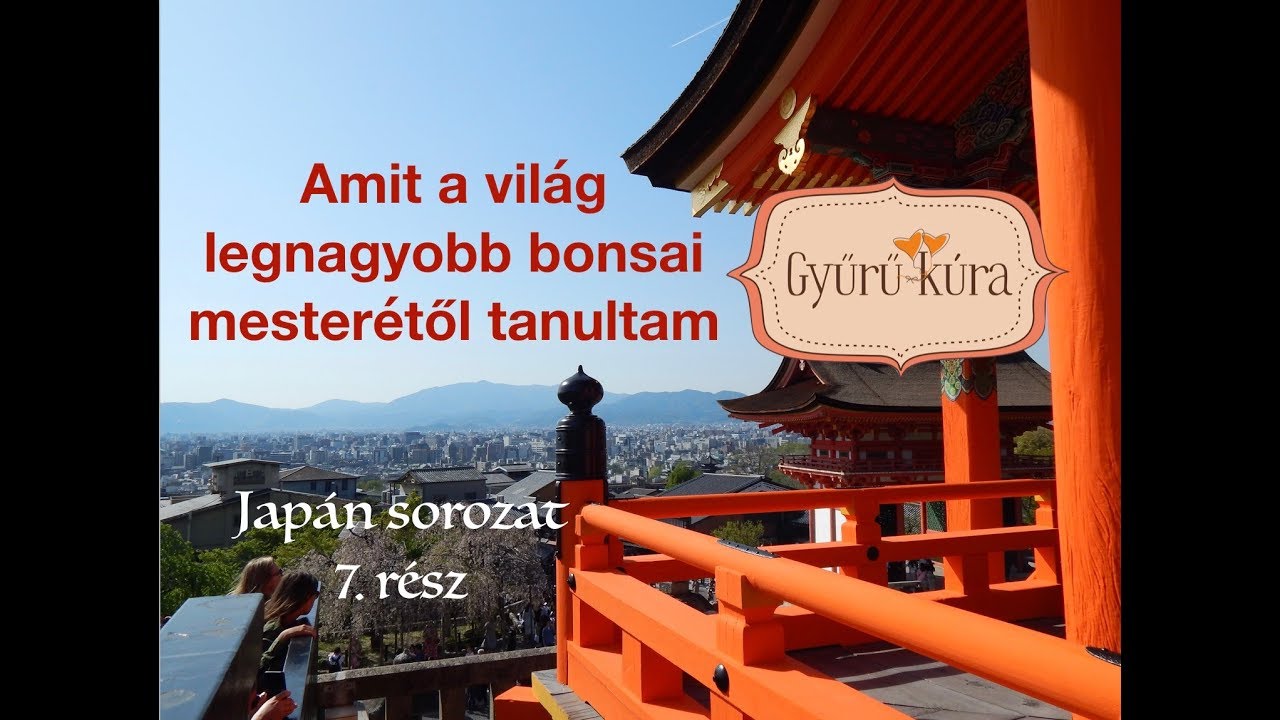 Amit a világ legnagyobb bonsai mesterétől tanultam