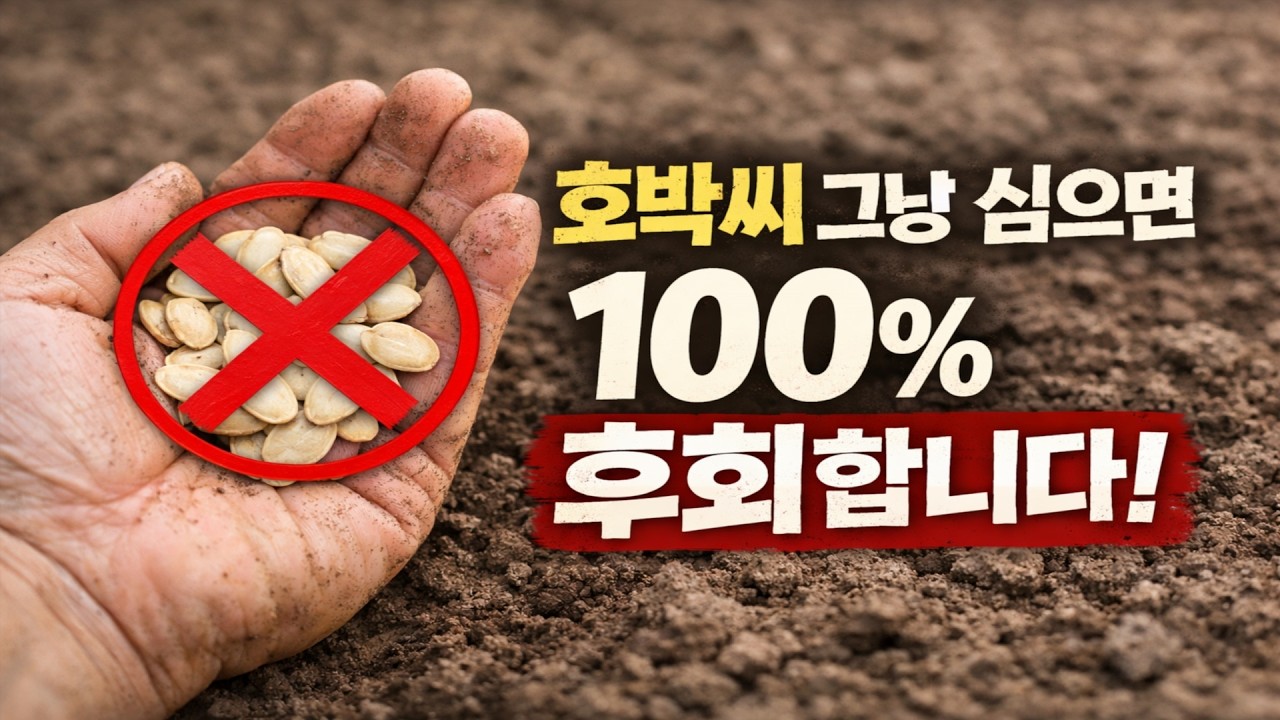 호박씨, 그냥 심으면 100% 후회합니다. 수확량 3배 늘리는 농사 고수의 진짜 비법