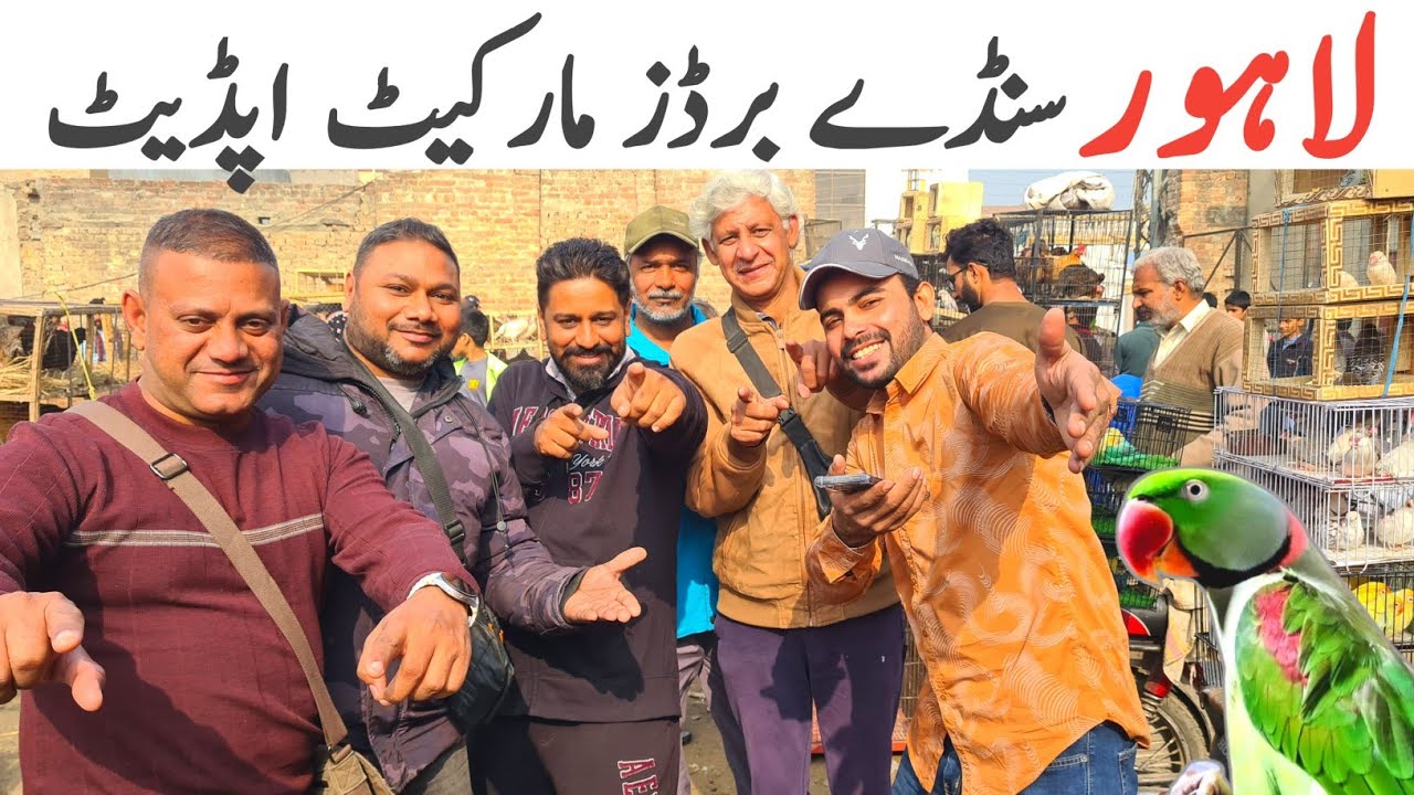 Lahore Sunday Birds Market Visit 14/12/2025. #pashabirdsvlogs #beautifulbirds #parrotbaby