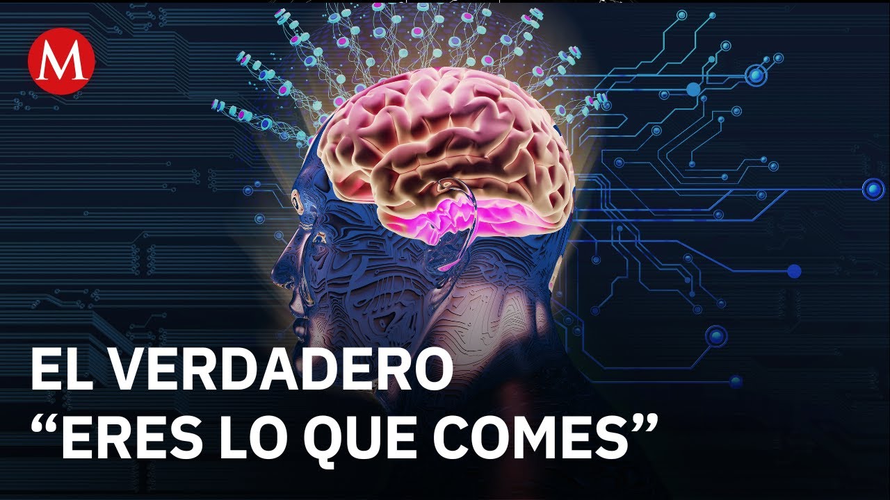 Alimentos ultraprocesados podr&iacute;an afectar el cerebro, seg&uacute;n investigaci&oacute;n