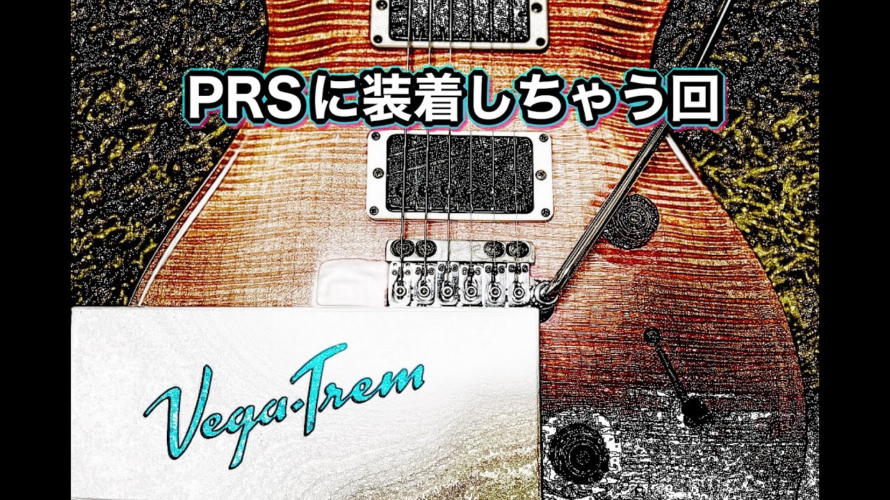 PRS Custom24 2012 10TOP BONNIE PINK с Vega Trem