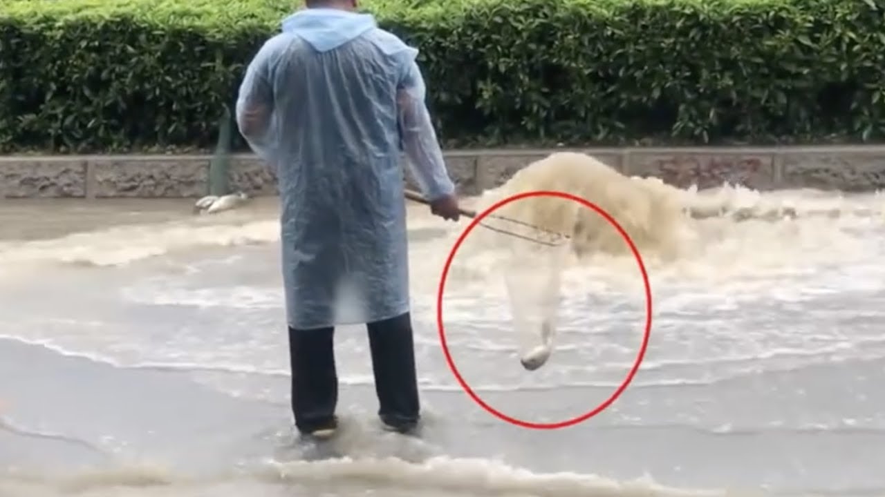 Fishing on the street after heavy rain in Guangzhou City