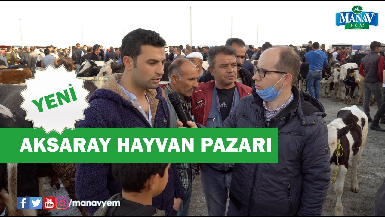 Aksaray Hayvan Pazarı - Kurbanlık Fiyatları Artmaya Başladı