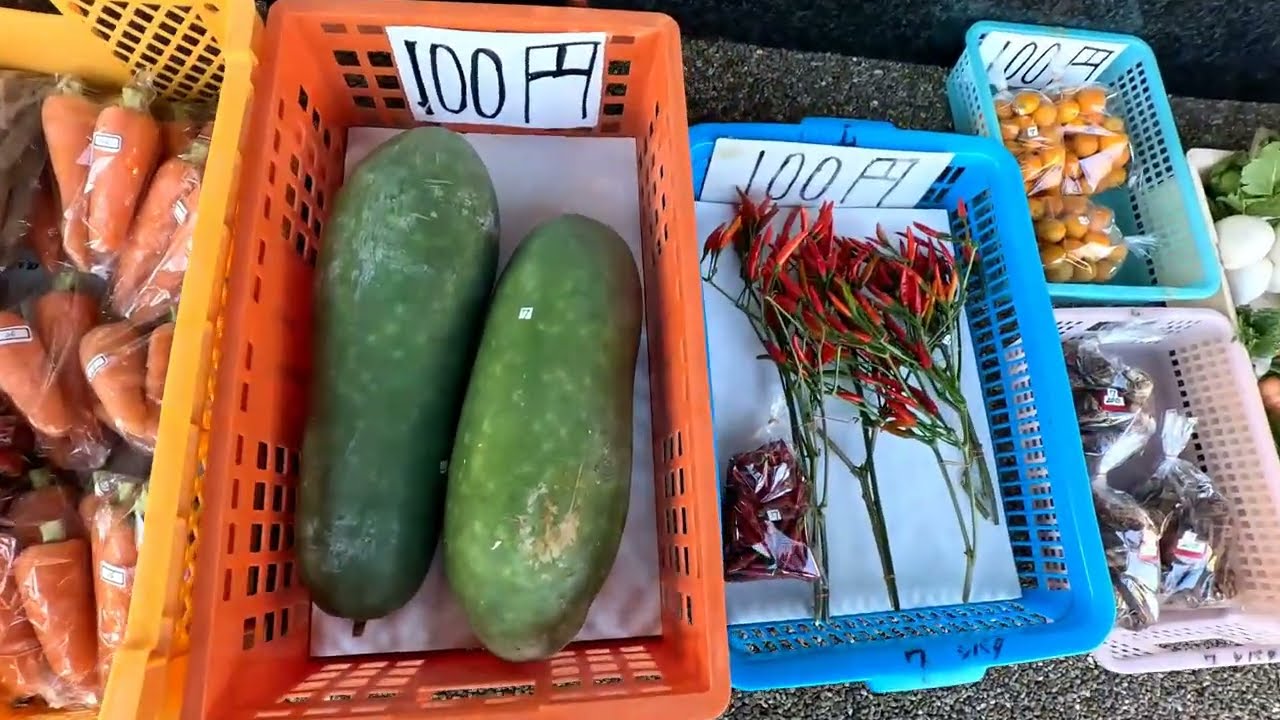野菜朝市　JAとぴあ浜松湖西新居支店前　2026年1月13日
