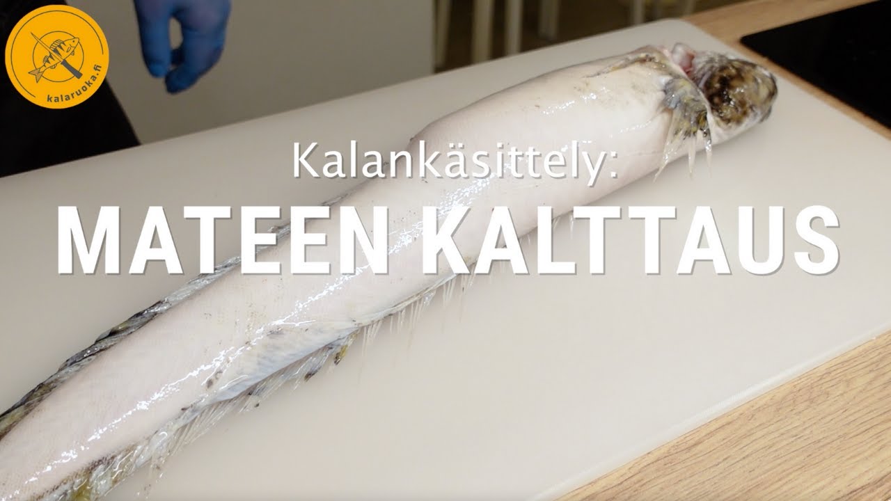Mateen kalttaus
