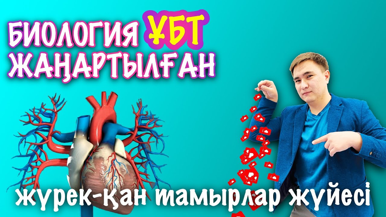 ҰБТ жүрек-қан тамырлар жүйесі
