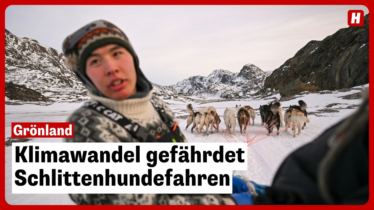 Klimawandel gefährdet Schlittenhundefahren