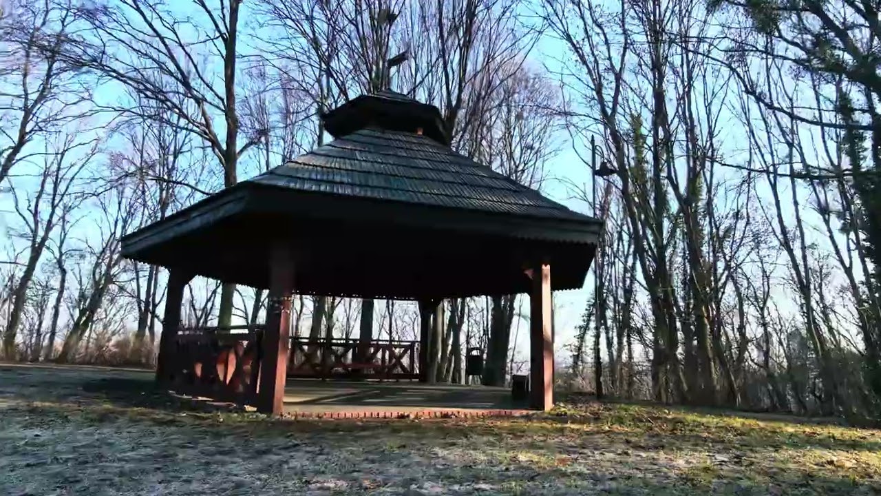 DJI Neo 2 FPV flight. Sunny morning in the park.