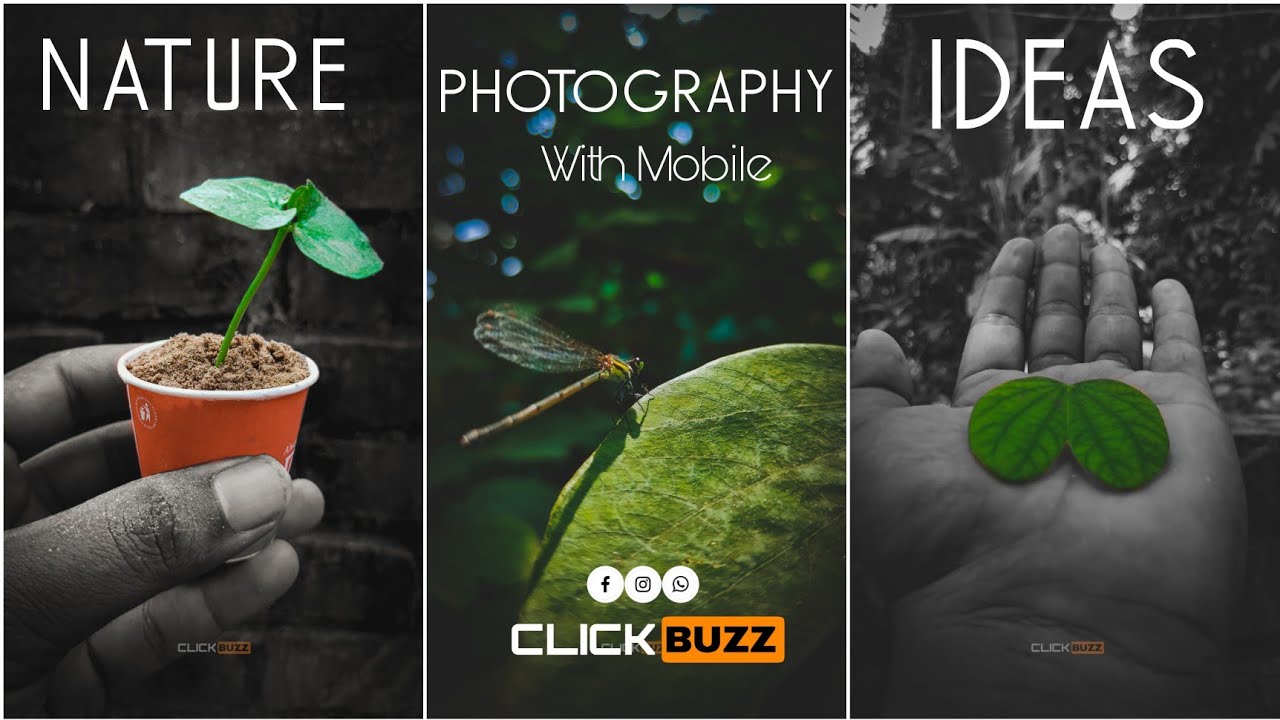 3 easy Nature Photography ideas with Mobile || Mobile Photography || ClickBuzz.