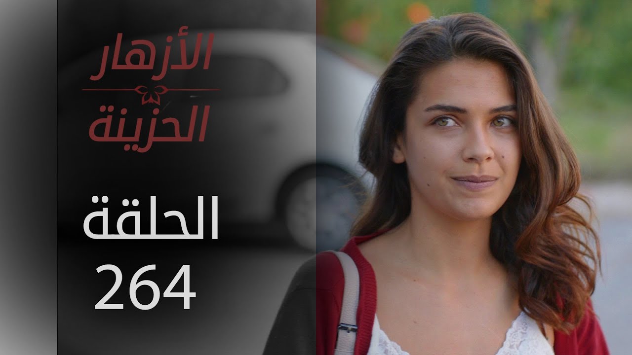 مسلسل الأزهار الحزينة | الحلقة 264 - الموسم الثاني