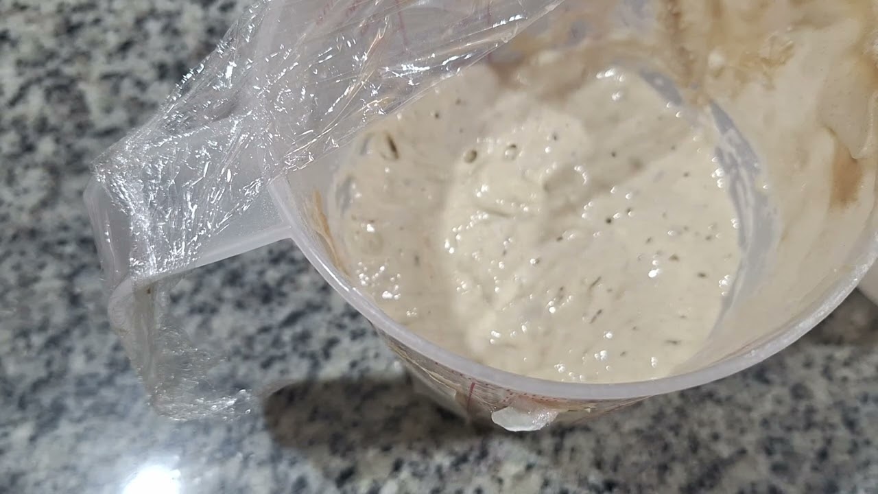 Como saber o momento certo de usar meu LEVAIN para fazer meu Pão? E agora??