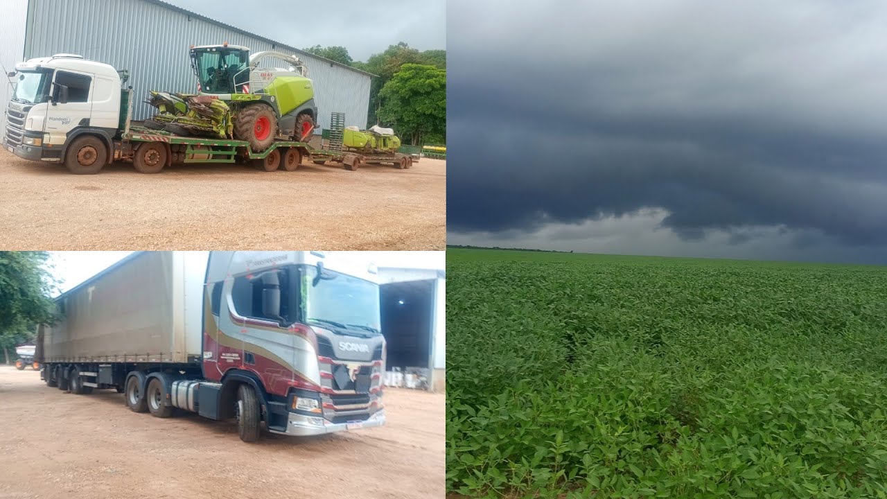 Descarregando semente de milho para safrinha e carreguei caminhão de veneno