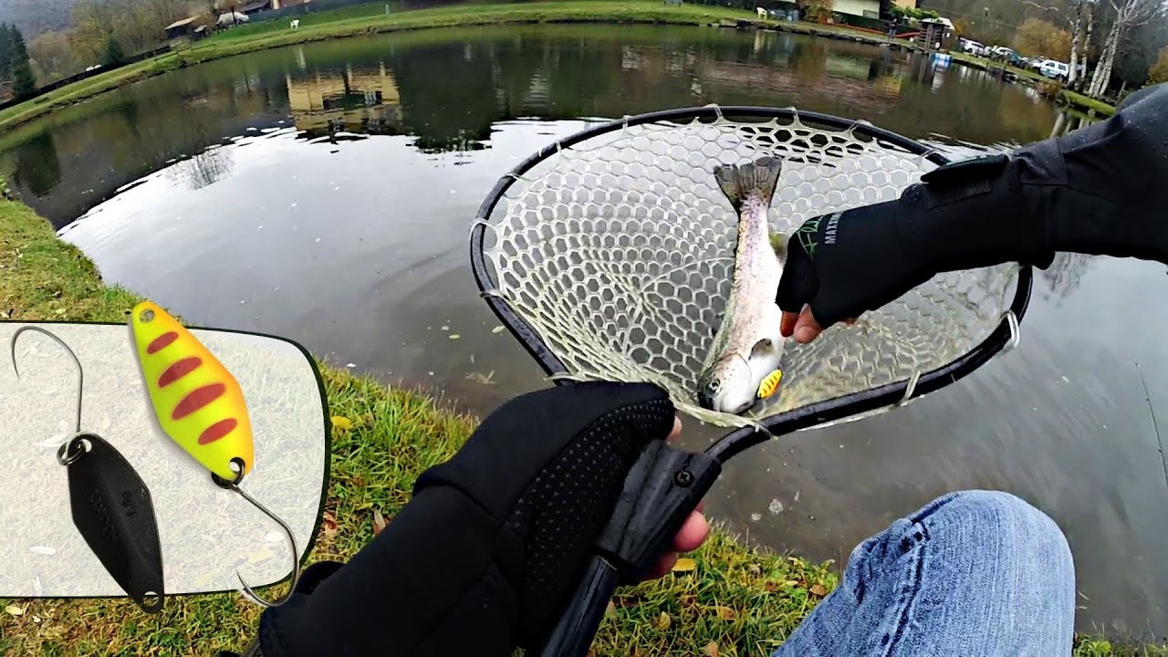 TROUT AREA - 
