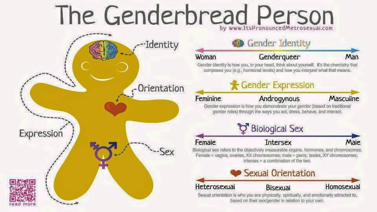 queer education