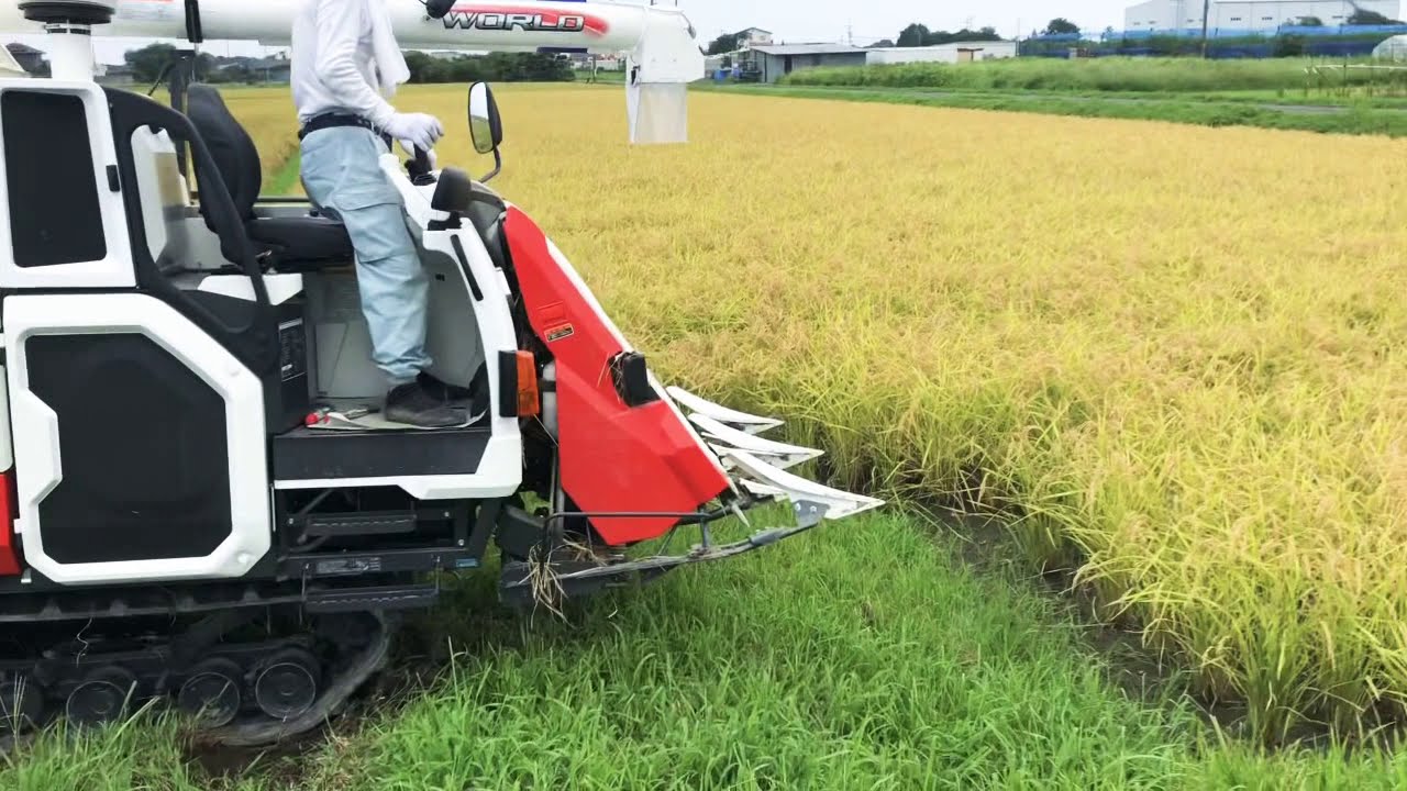 クボタ WR460 令和1年 4条コンバイン刈取り作業