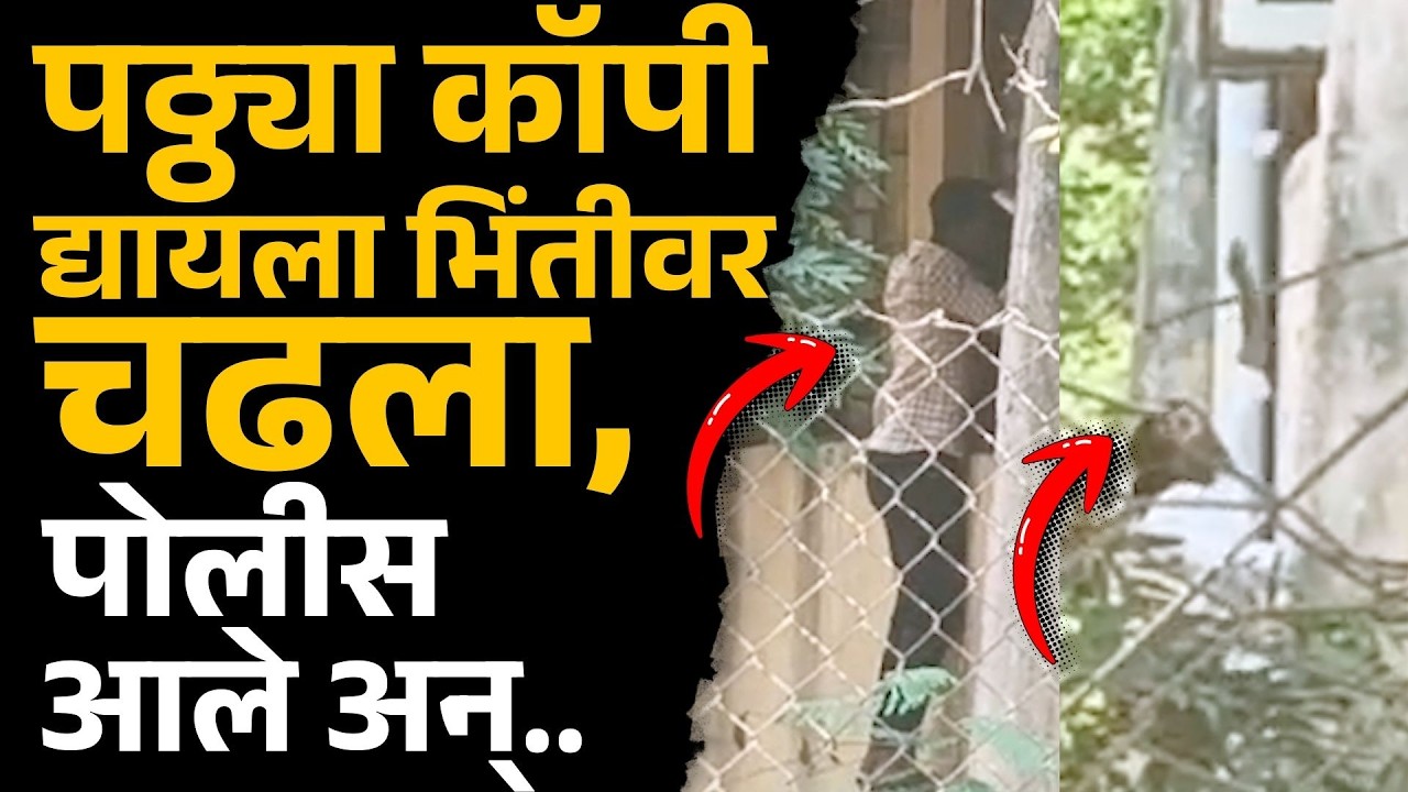भिंतीवर चढून कॉपी पुरवली, तितक्याच पोलीस आले अन्.. काय घडलं? | Beed News