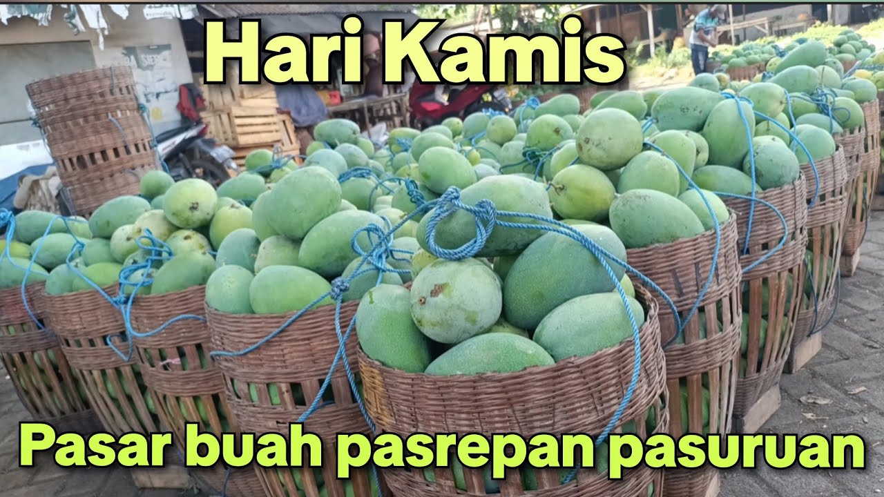 HARI KAMIS MASIH TENTANG HARGA MANGGA TERBARU DI PASAR BUAH PASREPAN KABUPATEN PASURUAN