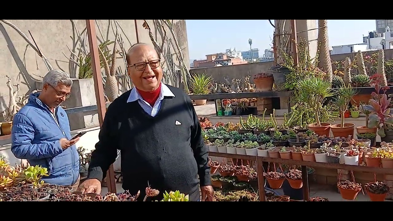Adenium, succulent media and care tips by K.K. Talwar sir. #adenium #succulents #garden #plants #new